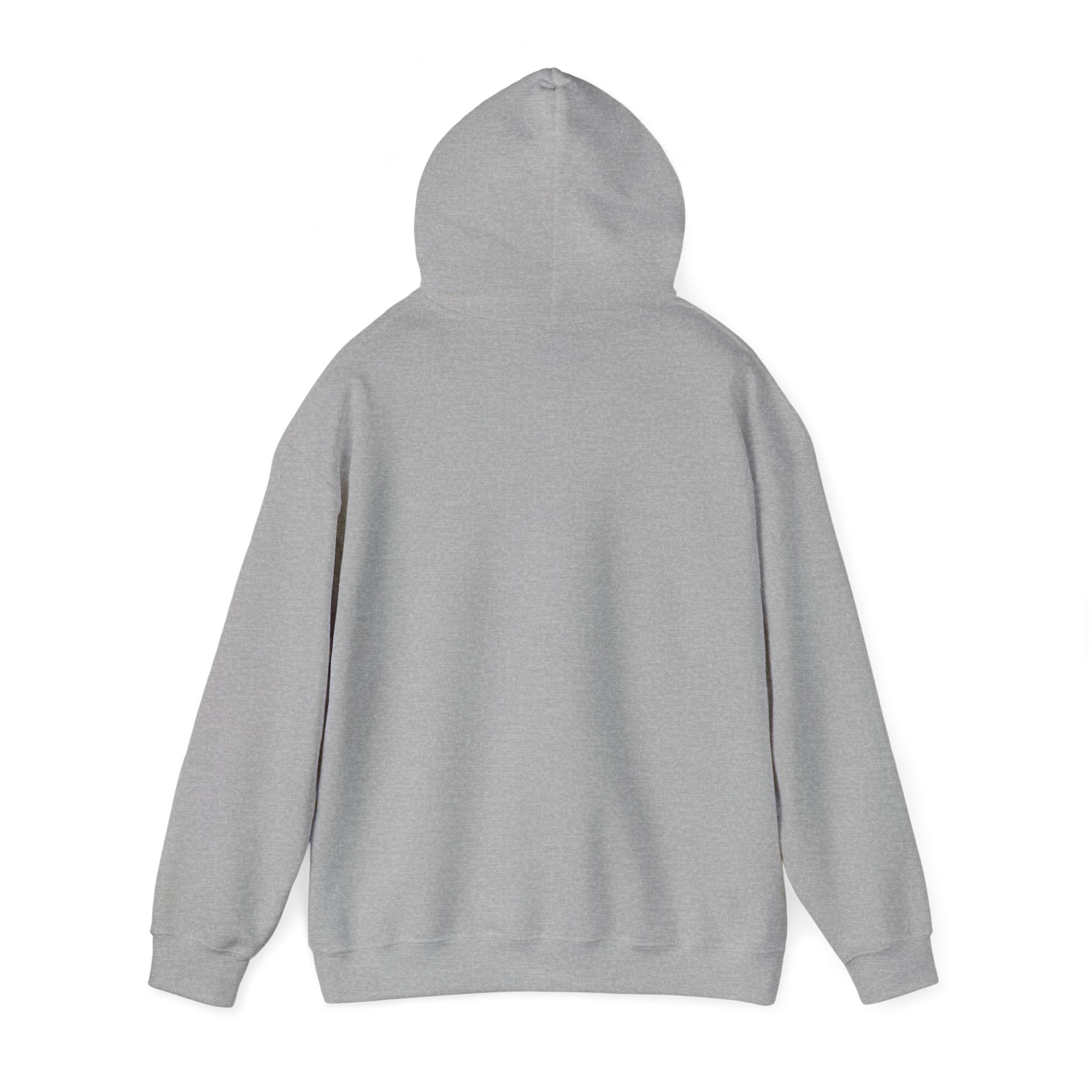 Aero Eagle Graphic Hoodie - Unisex Heavy Blend™ Sweatshirt