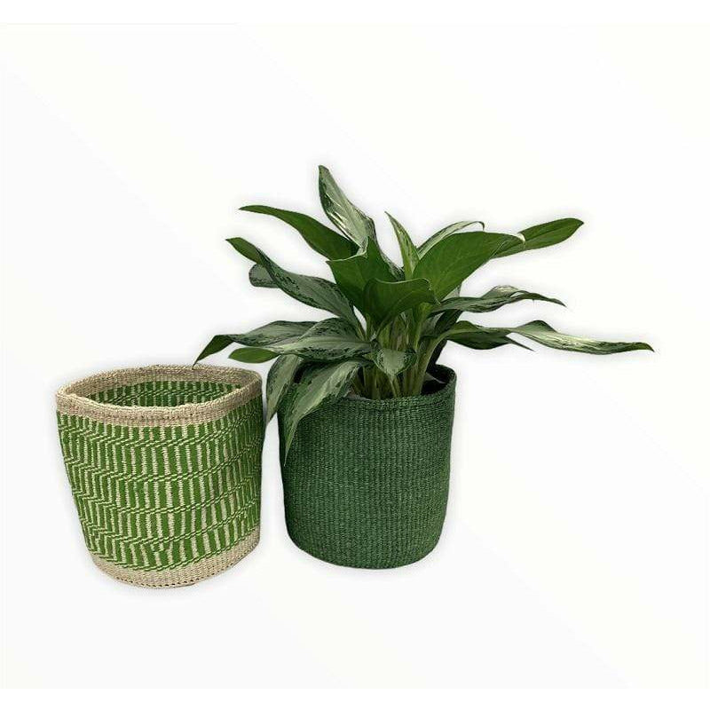 Tobmarc Home Decor & Gifts  Basket As A Set PLAGRE-Storage Baskets, Plant Baskets, African Basket Planters, Laundry Basket Toy Storage Baskets