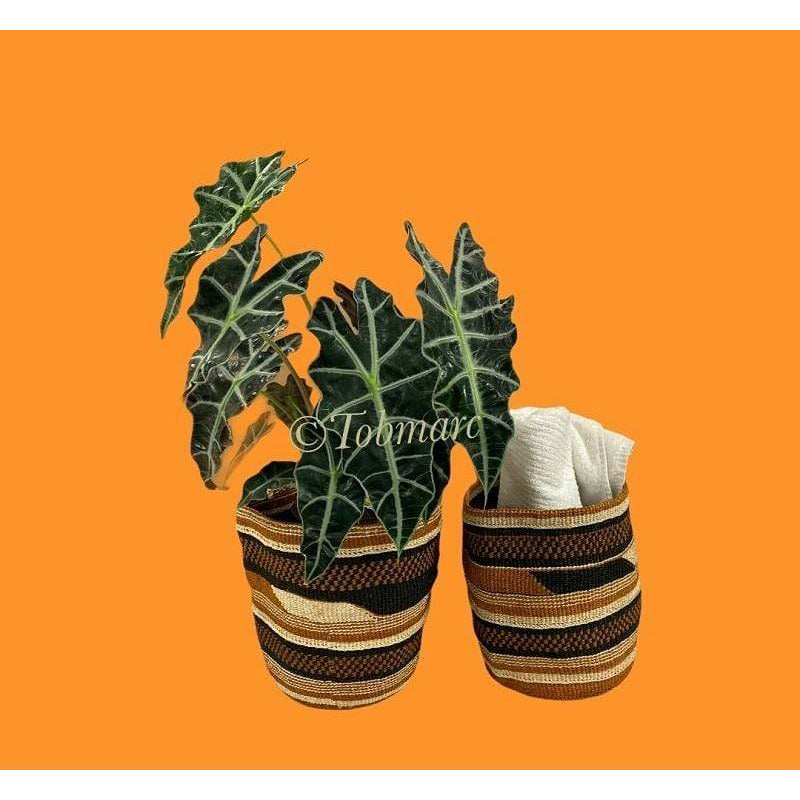 Tobmarc Home Decor & Gifts  Basket Set of 2 MOUNTAIN 8"-Hand Woven Basket, Storage Baskets,  Plant Basket, African Decorative Basket, Woven Toy Storage Basket